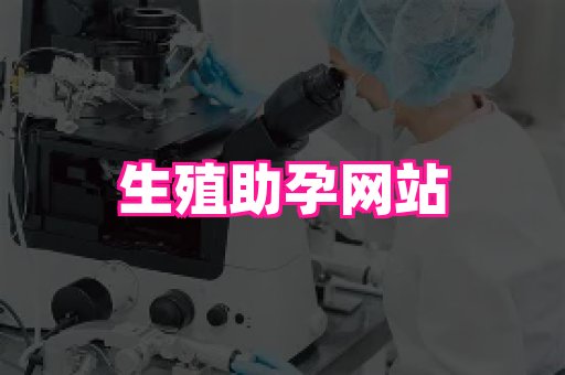 乐乐助孕网 2
