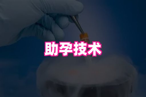 乐乐助孕网 3
